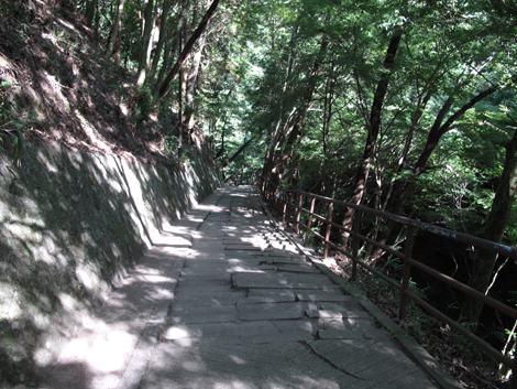 20140922hike (346)